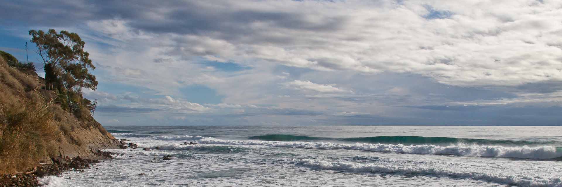 Albero - Spiaggia  Tre Ponti di Sanremo